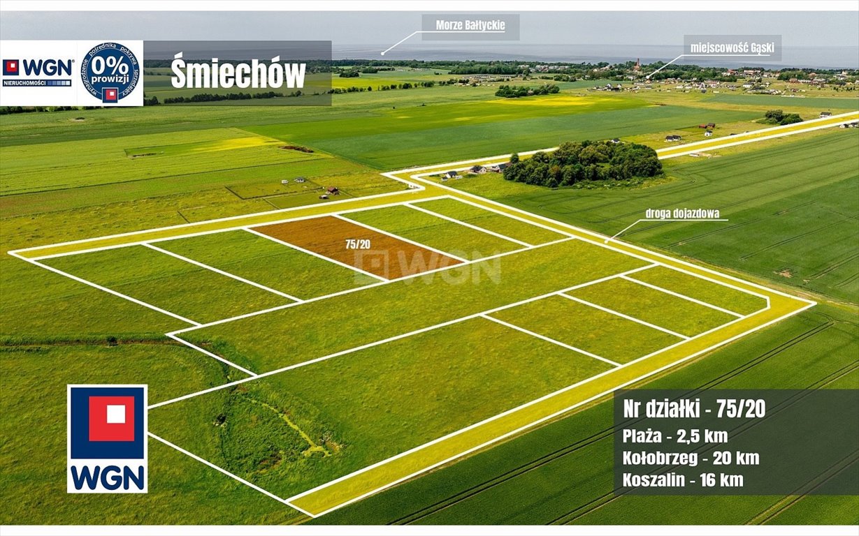 Działka inwestycyjna na sprzedaż Śmiechów, Śmiechów  3 002m2 Foto 1