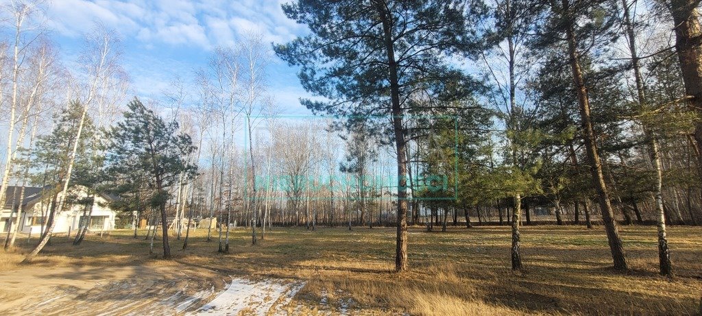 Działka inna na sprzedaż Adamowizna  3 006m2 Foto 1