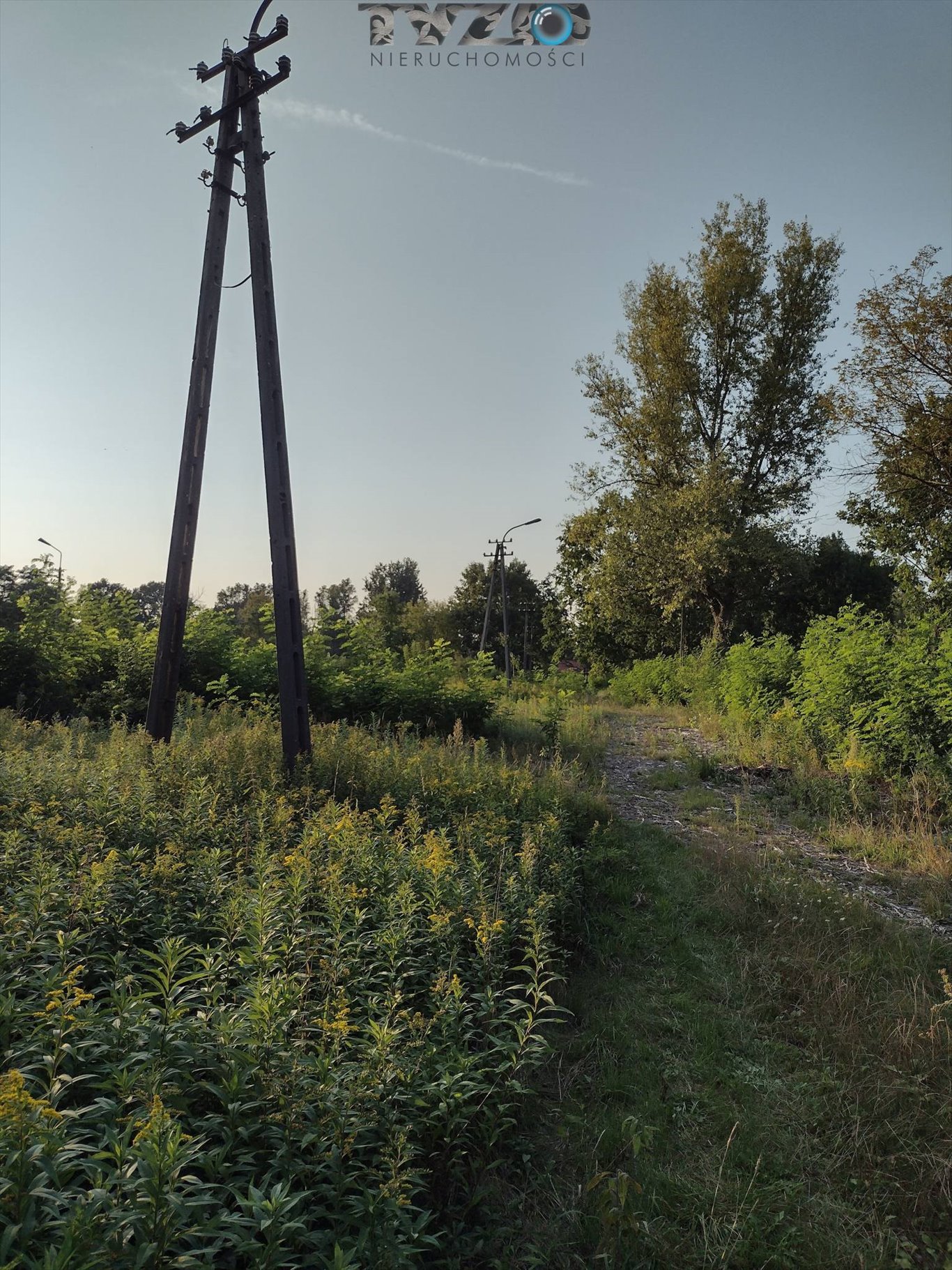 Działka budowlana na sprzedaż Góraszka, Góraszka, Dębowa  2 200m2 Foto 17