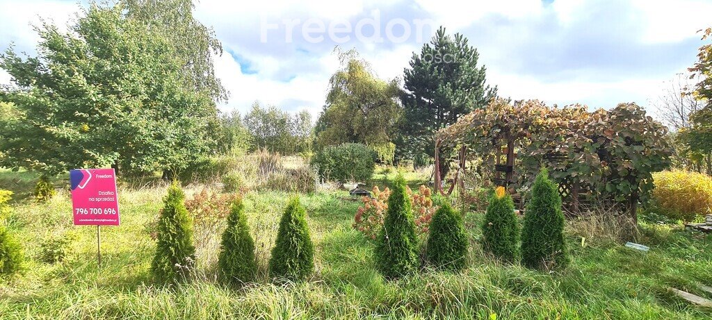 Działka budowlana na sprzedaż Stara Niedziałka, Mazowiecka  1 865m2 Foto 1