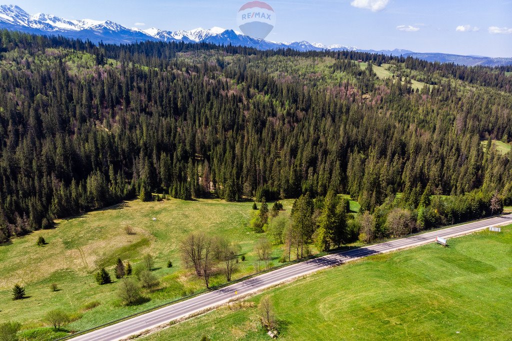 Działka rolna na sprzedaż Bukowina Tatrzańska  2 944m2 Foto 3