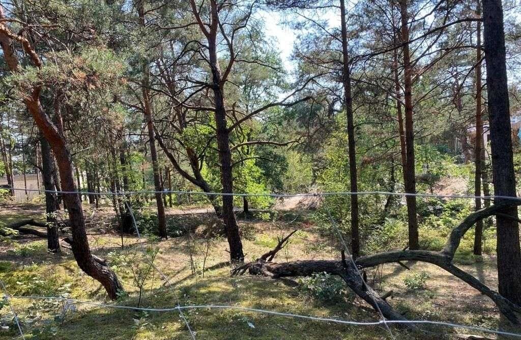 Działka budowlana na sprzedaż Marki, Bielówek  2 000m2 Foto 8