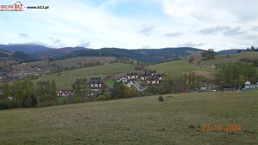 Działka rolna na sprzedaż Szczawnica, Szczawnica, Jaworki  5 015m2 Foto 5