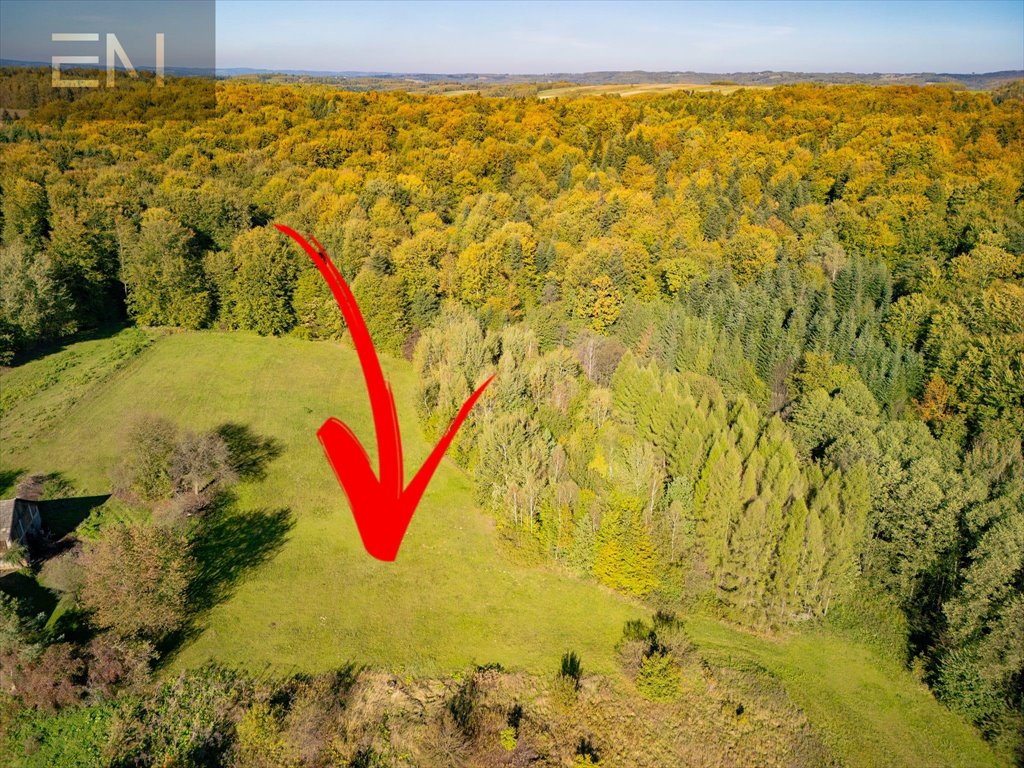 Działka rekreacyjna na sprzedaż Różanka  7 000m2 Foto 7