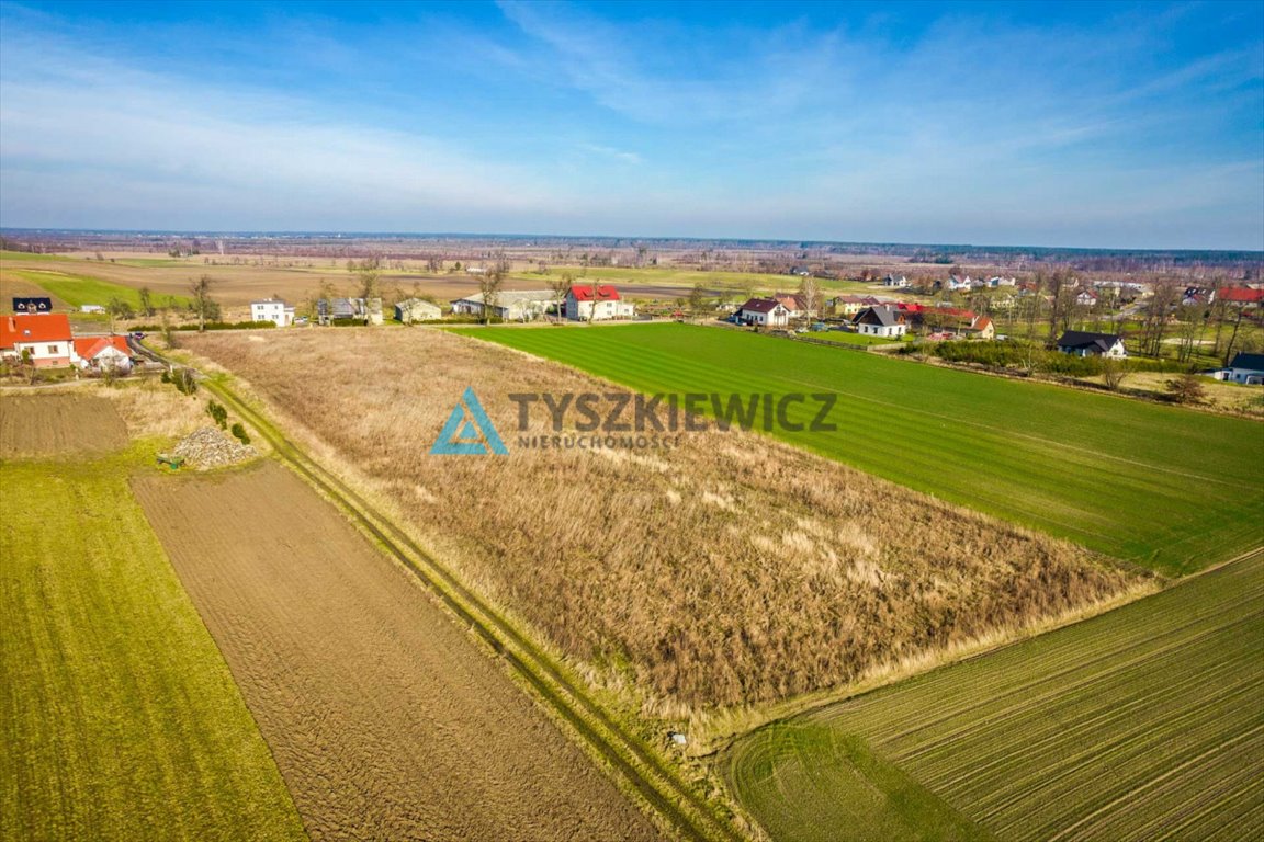 Działka rolna na sprzedaż Lotyń  1 556m2 Foto 8