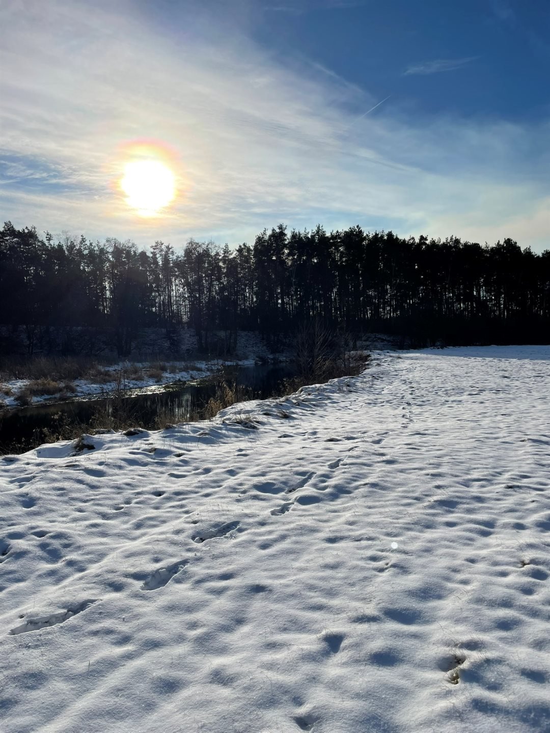 Działka leśna na sprzedaż Kowalewko, Szyjki  800m2 Foto 5