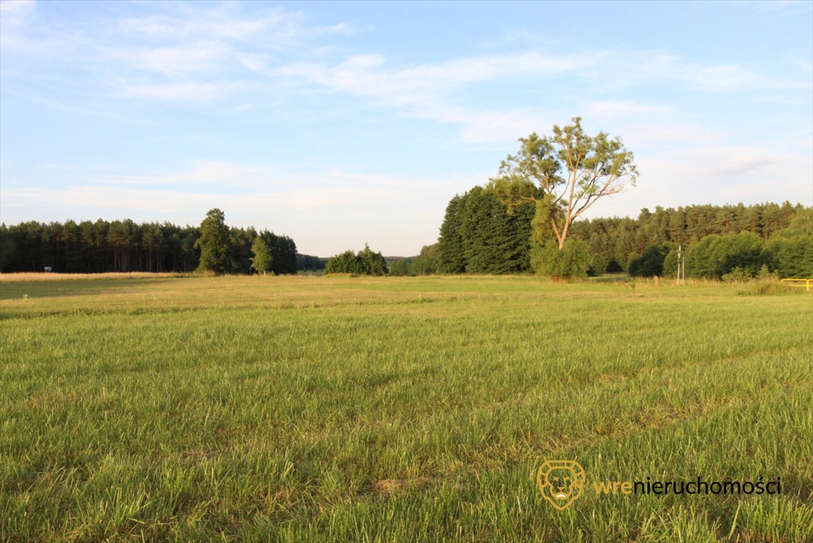 Działka przemysłowo-handlowa na sprzedaż Śliwice, Zdrojowa  47 740m2 Foto 7