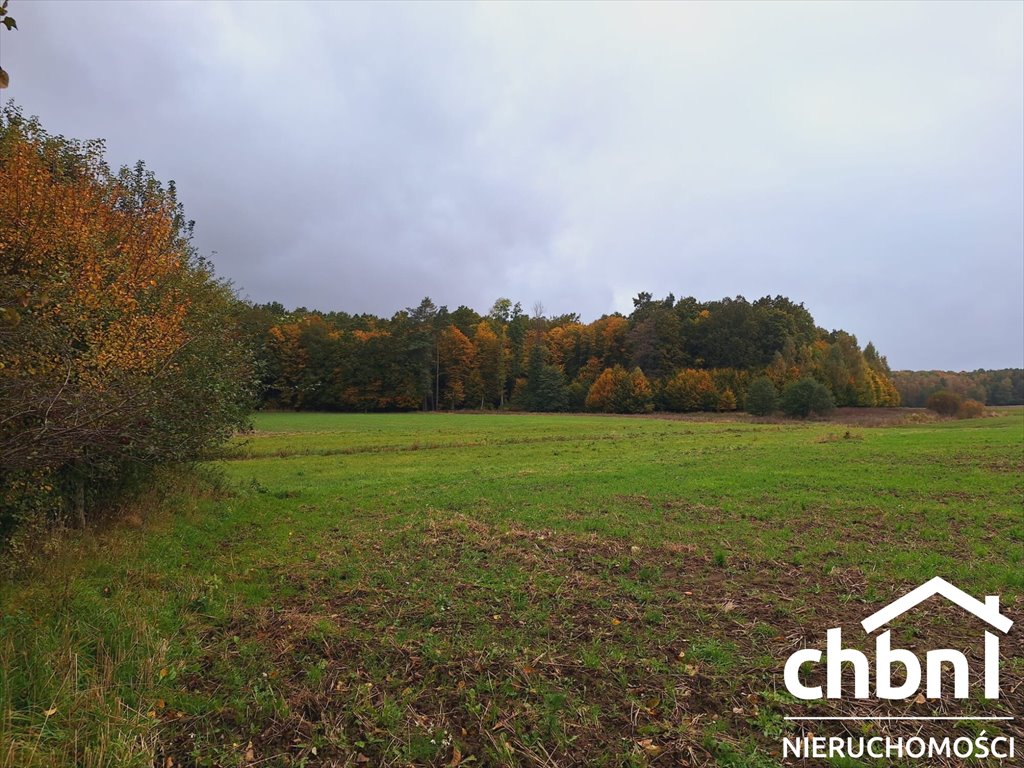 Działka budowlana 1471 m² z mediami i warunkami zabudowy Dąbrowa, kujawsko-pomorskie  1 471m2 Foto 1