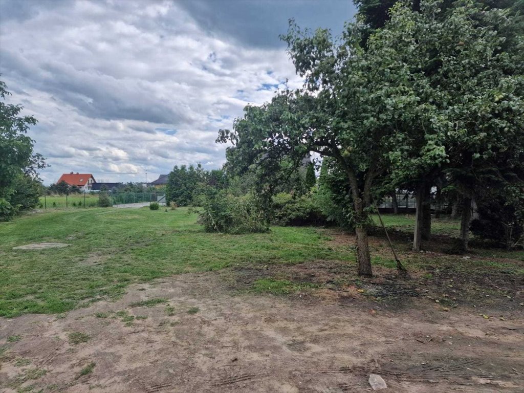 Działka budowlana na sprzedaż Wojnowice  1 258m2 Foto 4