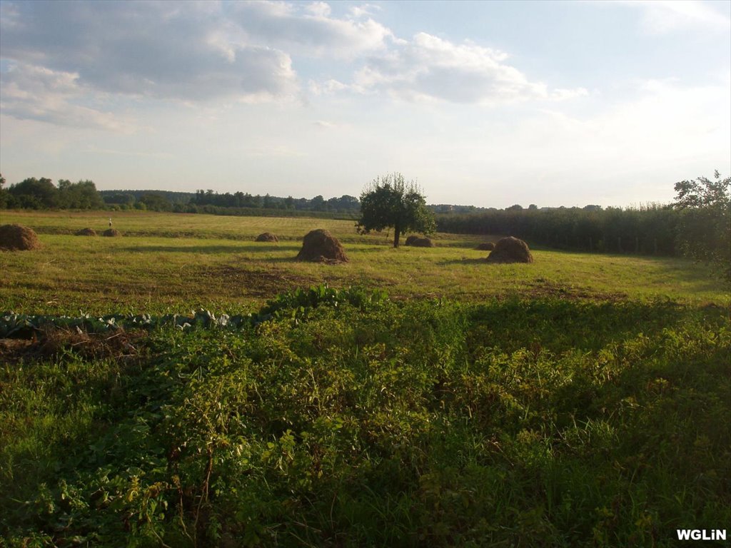 Działka rolna na sprzedaż Podłęcze, Podłęcze  3 553m2 Foto 5