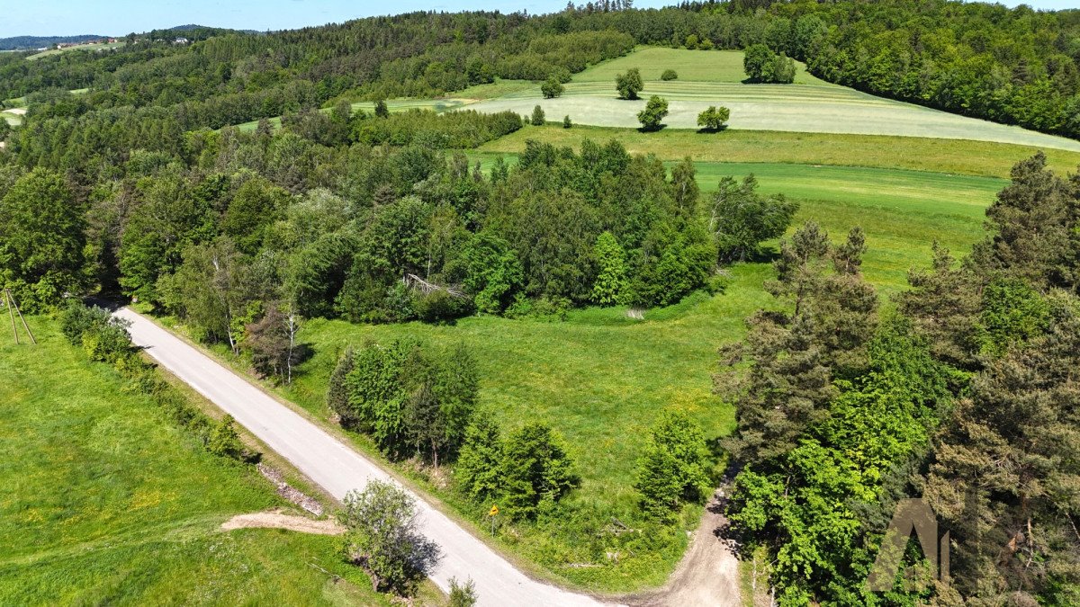 Działka budowlana na sprzedaż Podole-Górowa  4 000m2 Foto 4