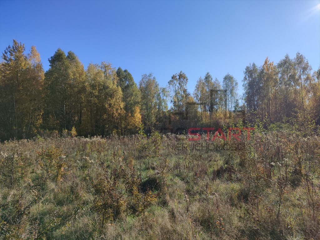 Działka budowlana na sprzedaż Adamów-Parcel  20 800m2 Foto 7