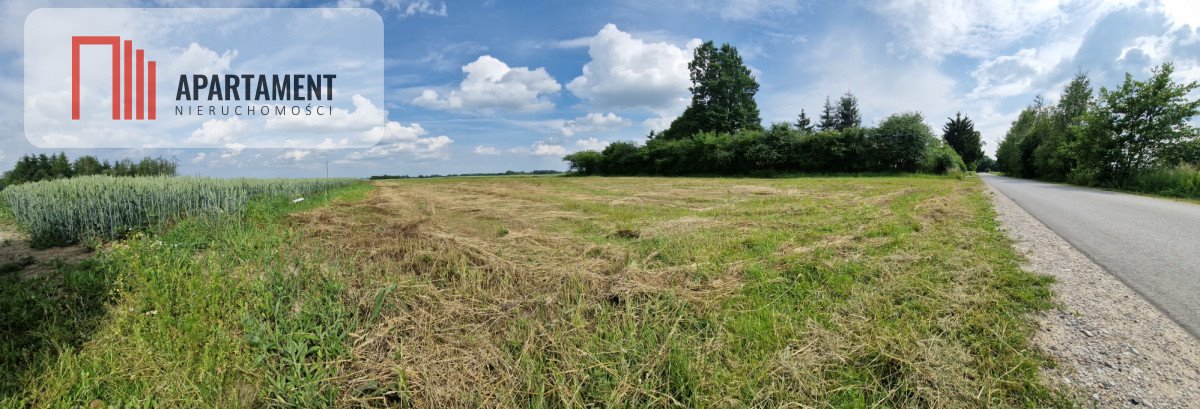 Działka budowlana na sprzedaż Wiewiórczyn  1 000m2 Foto 4