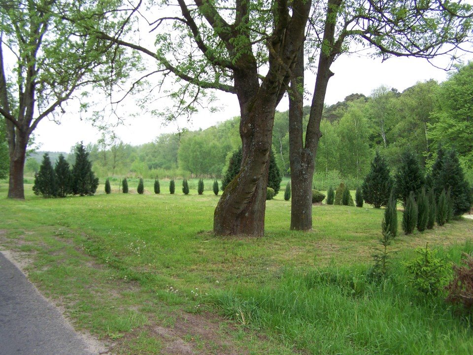 Zapraszam do zakupu działki z stawem 4300 m² w Chłopinach Chłopiny  4 300m2 Foto 1