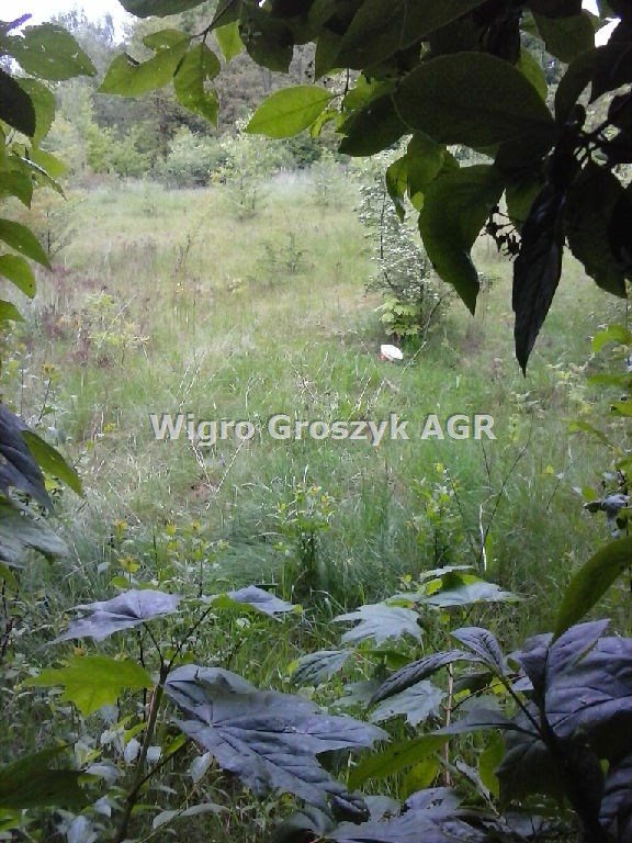 Do sprzedania działka 6476 m² z dostępem do Wisły w Wólce Wólka Przybójewska  6 476m2 Foto 1