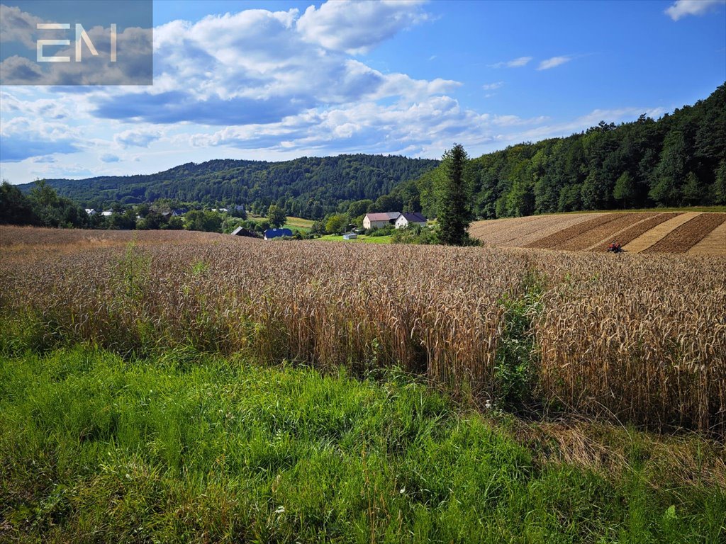 Działka budowlana na sprzedaż Krasna  5 300m2 Foto 6