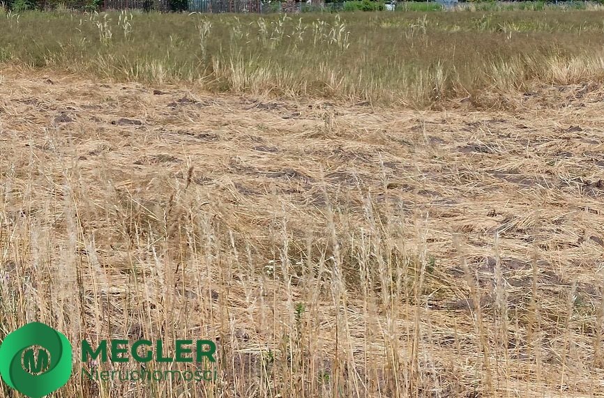 Działka budowlana na sprzedaż Chrzanów Mały  1 610m2 Foto 6