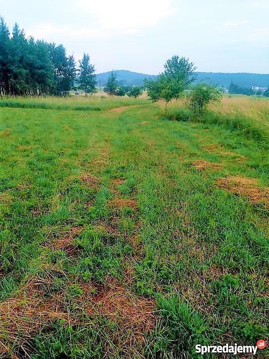 Polecam działkę 1000 m² w cichej okolicy z mediami w drodze Chęciny, Bolmin  1 000m2 Foto 1