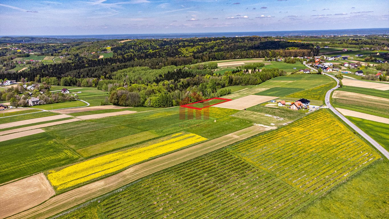 Działka budowlana na sprzedaż Broniszów  2 900m2 Foto 3