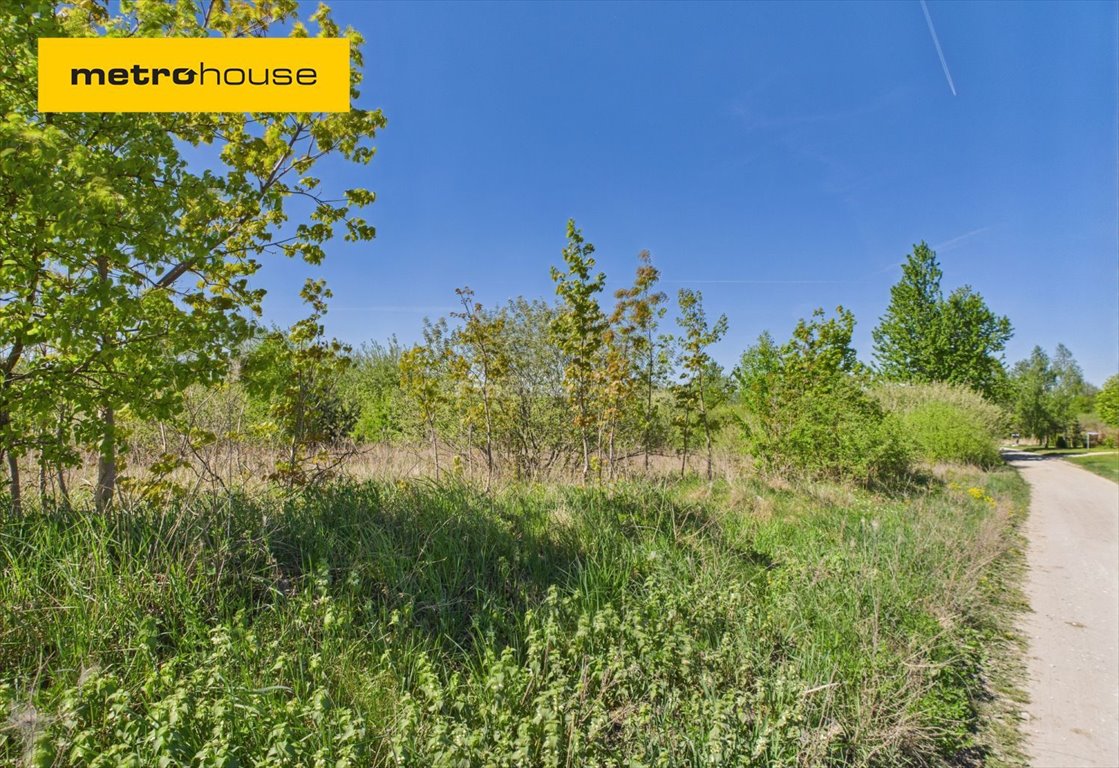 Działka budowlana na sprzedaż Jarczechowo  2 959m2 Foto 1