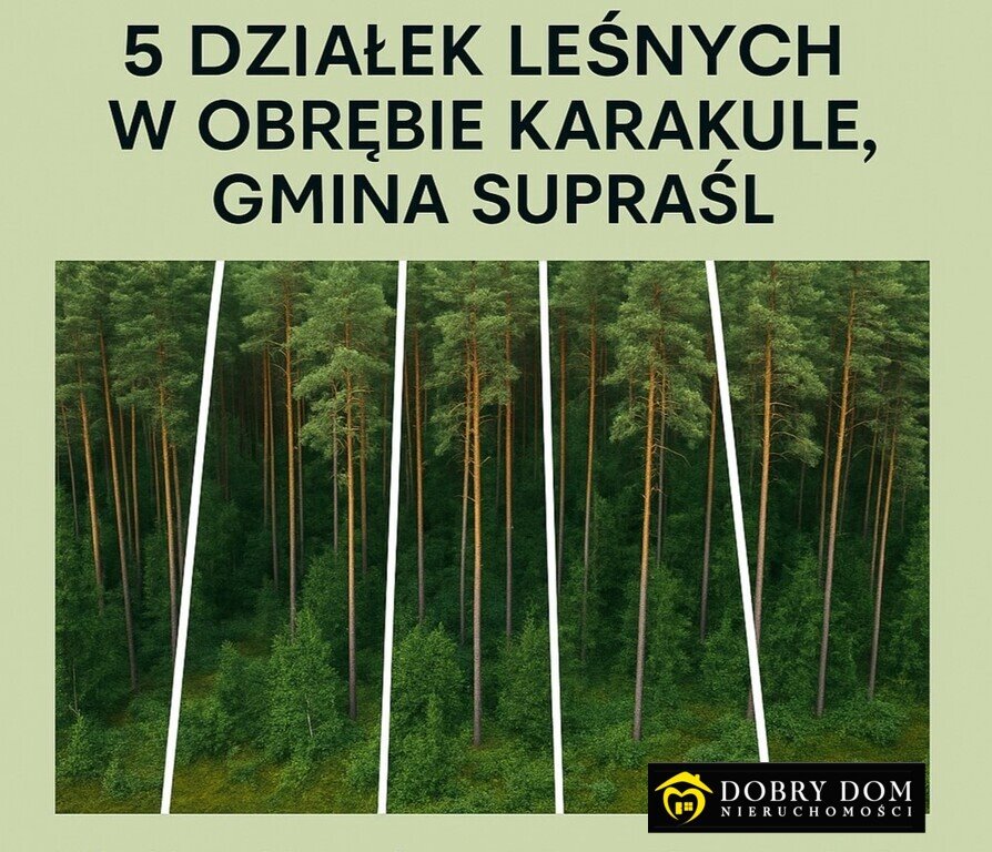 Do sprzedania działki leśne w Karakule - własny kawałek natury Karakule  10 700m2 Foto 1