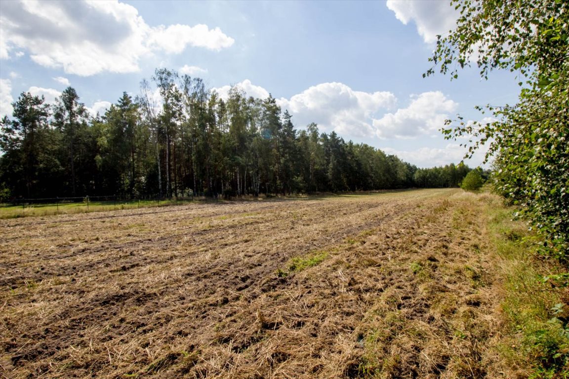 Działka budowlana na sprzedaż Kamińsko  800m2 Foto 9
