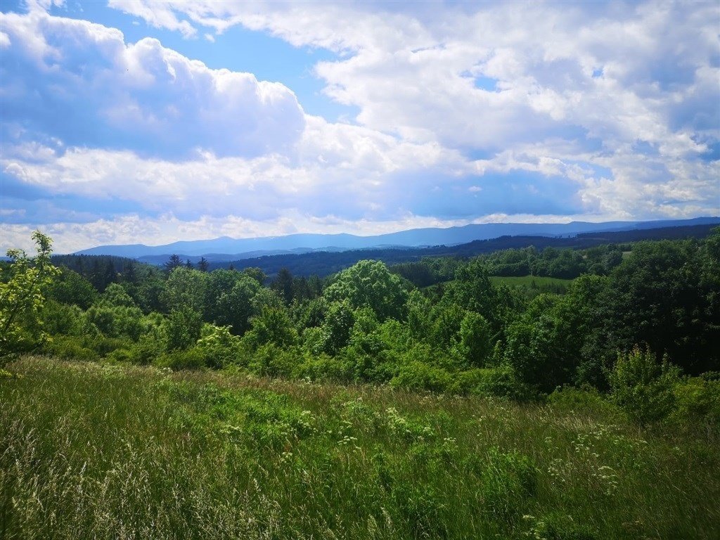 Działka inna na sprzedaż Radomice  1 066m2 Foto 3