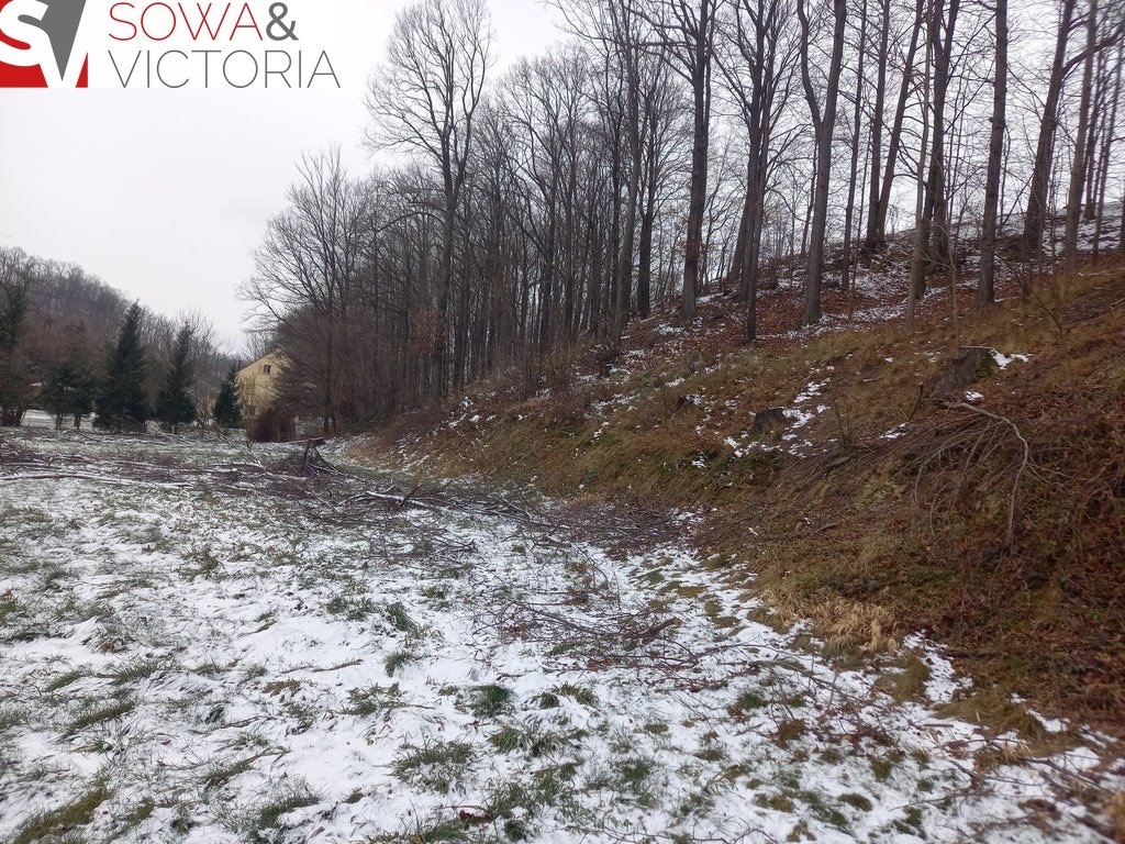 Działka budowlana na sprzedaż Chwaliszów  5 500m2 Foto 5