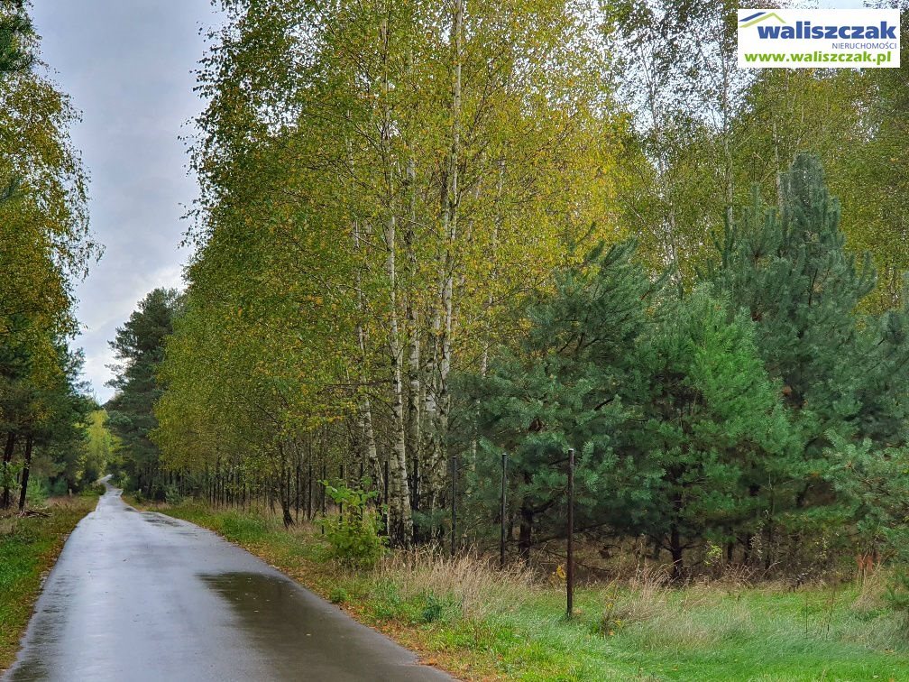 Działka budowlana na sprzedaż Ostrów 1 306m2 Foto 1 Działka budowlana na sprzedaż Ostrów 1 306m2 Foto 1