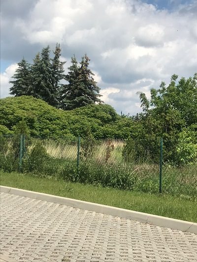 Działka inwestycyjna na sprzedaż Kalisz, Wrocławska  1 523m2 Foto 3