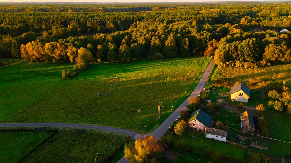 Działka budowlana na sprzedaż Kampinos, Partyzantów  1 687m2 Foto 4