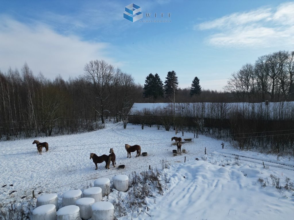 Unikatowa działka 15 ha z widokami i potencjałem inwestycyjnym Marwałd  325m2 Foto 1