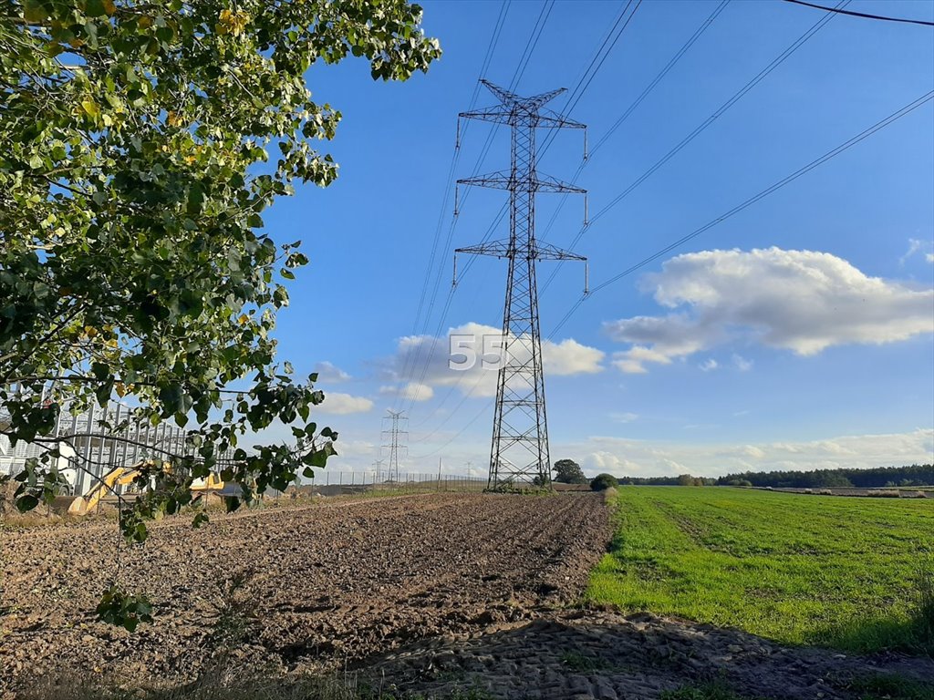 Działka przemysłowo-handlowa na sprzedaż Kruszów  8 100m2 Foto 1