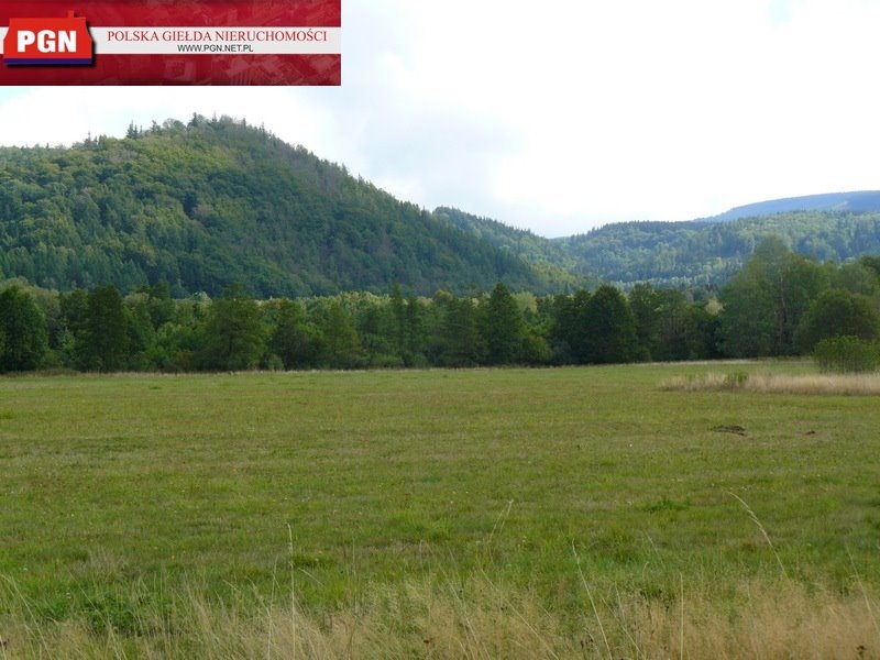 Działka inna na sprzedaż Bystrzyca Kłodzka  1 000m2 Foto 1