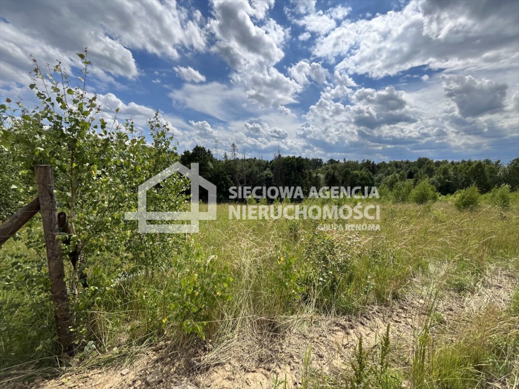 Zapraszam do obejrzenia działki 2164 m² w spokojnej okolicy Pępowo  2 164m2 Foto 1