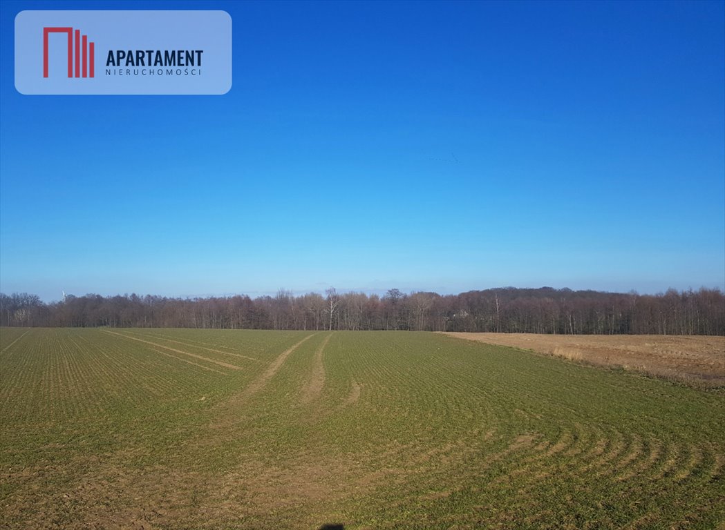 Działka budowlana z warunkami zabudowy, lasy, jeziora Zawada  2 600m2 Foto 1