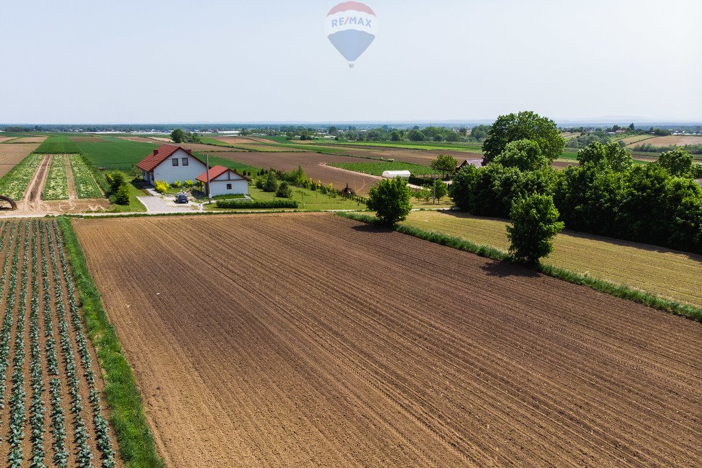 Działka budowlana na sprzedaż Stręgoborzyce  5 330m2 Foto 4