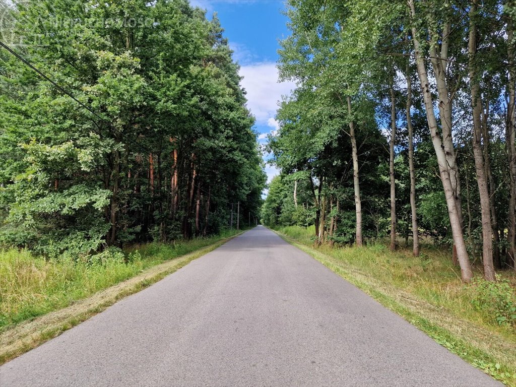 Działka leśna na sprzedaż Pojawie  10 700m2 Foto 15