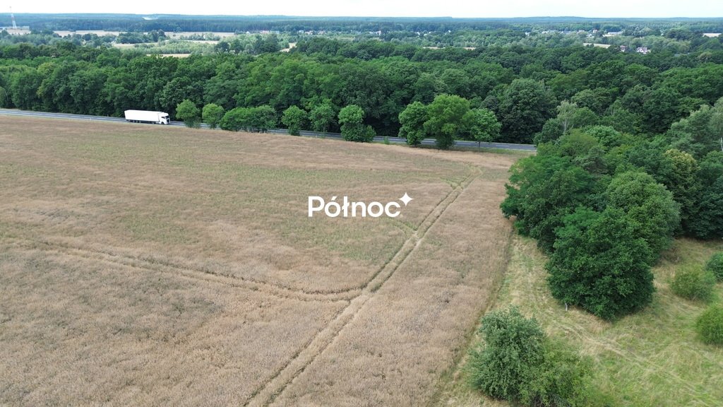Atrakcyjne działki inwestycyjne 2,45 ha w Dąbrowie Bolesławieckiej - polecam! Dąbrowa Bolesławiecka  24 450m2 Foto 1