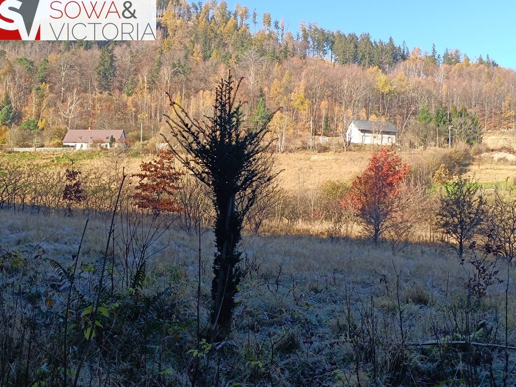 Działka budowlana na sprzedaż Jedlina-Zdrój, Kamieńsk  3 900m2 Foto 9