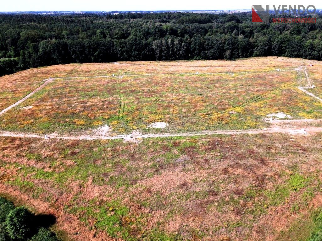 Działka budowlana na sprzedaż Pobiedziska  2 594m2 Foto 7