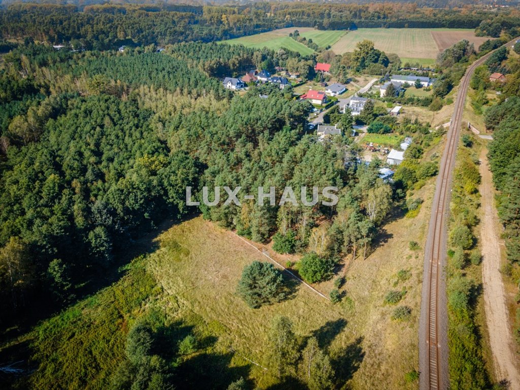 Działka leśna z prawem budowy na sprzedaż Strzyżawa  8 700m2 Foto 2