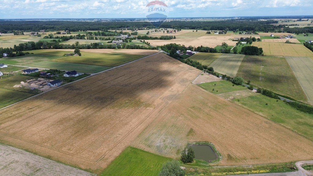 Działka budowlana na sprzedaż Grzebienisko, Szamotulska  1 005m2 Foto 4