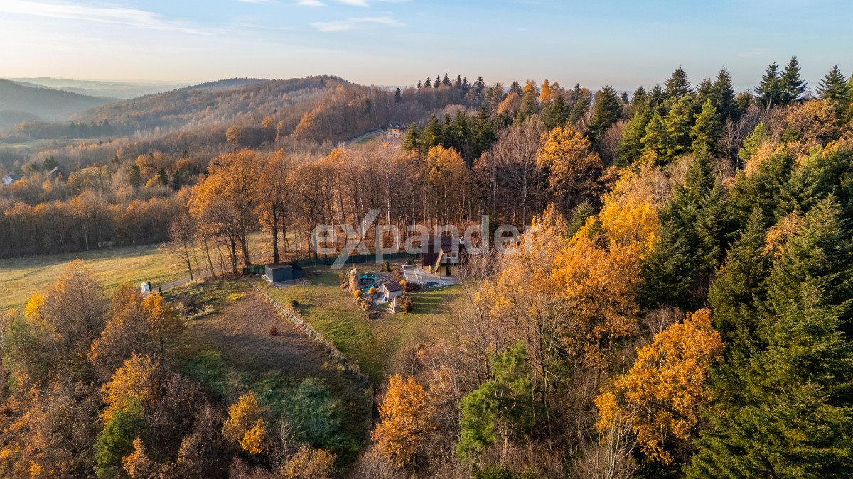 Działka budowlana na sprzedaż Marcyporęba  3 169m2 Foto 12