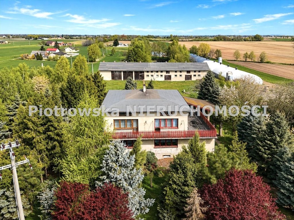 Kompleks siedliskowy 1,47 ha z domem 260 m² i infrastrukturą zapraszam Błaszki, Domaniew  260m2 Foto 1