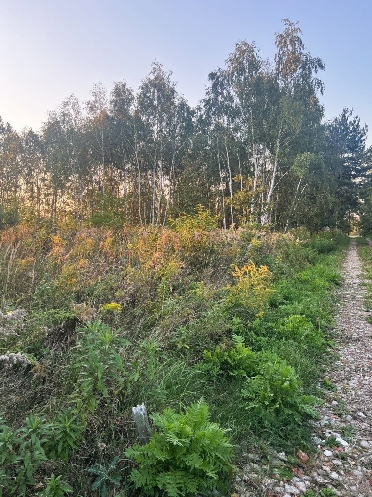 Działka inna na sprzedaż Józefów, Leonardów  1 178m2 Foto 4