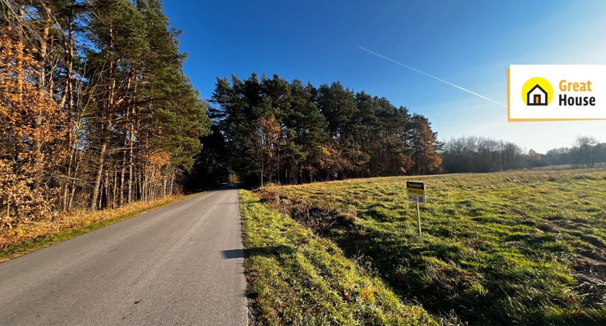 Działka rolna na sprzedaż Borzykowa  85 100m2 Foto 4