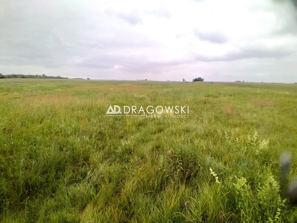 Działka rolna na sprzedaż Kraszewo-Gaczułty  5 100m2 Foto 4