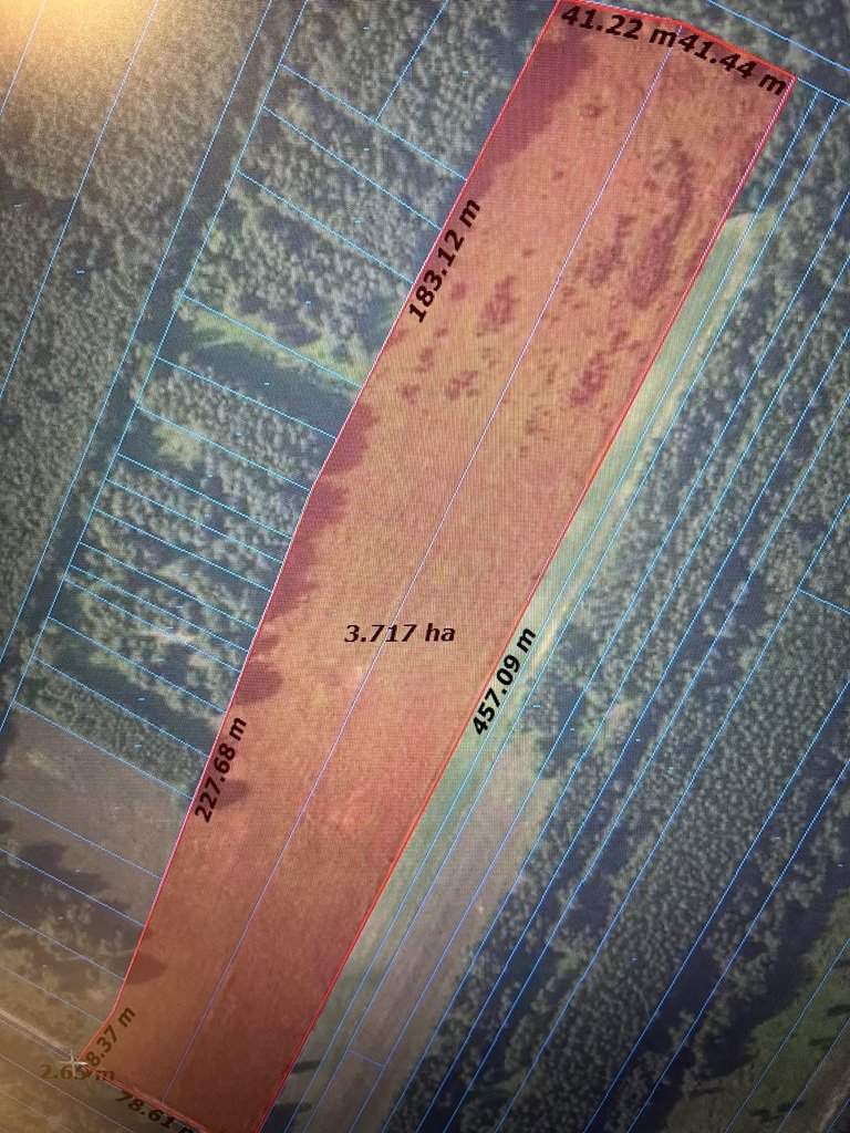 Działka rolna 3,73 ha w Kijance (blisko drogi gminnej) Kijanka  37 306m2 Foto 1