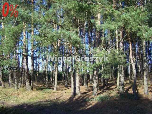 Działka leśna na sprzedaż Nasielsk, Bronin  4 561m2 Foto 8